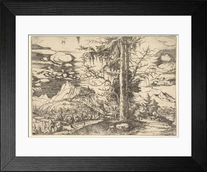 Framed Print : Landscape with a Double Spruce, ca. 1521-22. Creator: Albrecht Altdorfer Framed Print : Landscape with a Double Spruce, ca. 1521-22. Creator: Albrecht Altdorfer
