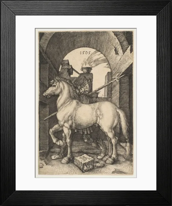 Framed Print : The Little Horse, 1505. Creator: Albrecht Durer Framed Print : The Little Horse, 1505. Creator: Albrecht Durer