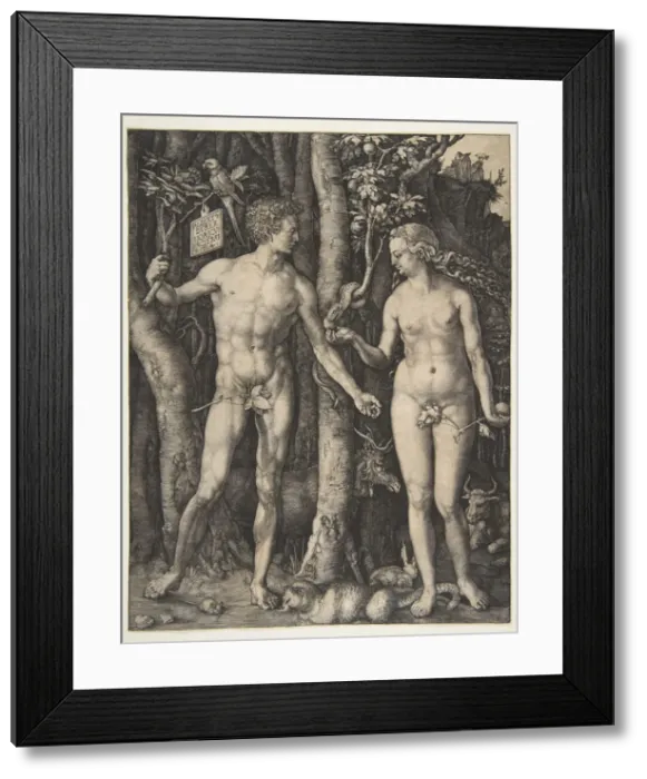 Framed Print : Adam and Eve, 1504. Creator: Albrecht Durer Framed Print : Adam and Eve, 1504. Creator: Albrecht Durer