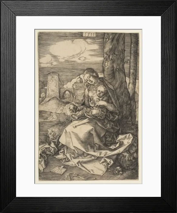 Framed Print : Virgin and Child with the Pear, 1511. Creator: Albrecht Durer Framed Print : Virgin and Child with the Pear, 1511. Creator: Albrecht Durer