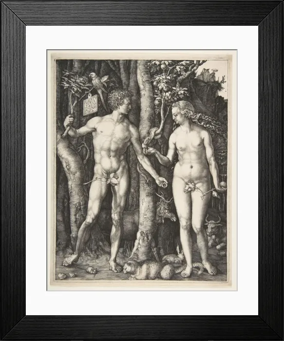 Framed Print : Adam and Eve, 1504. Creator: Albrecht Durer Framed Print : Adam and Eve, 1504. Creator: Albrecht Durer
