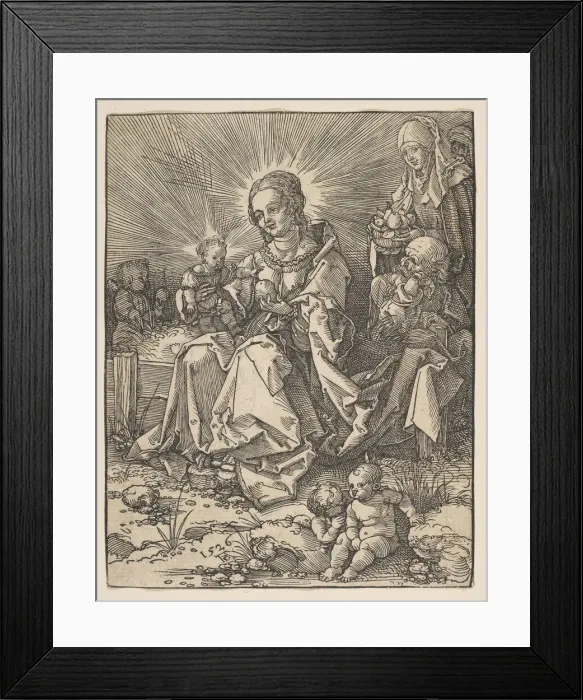 Framed Print : The Madonna on a Grassy Bank, 1526. Creator: Possibly Albrecht Dürer (German Framed Print : The Madonna on a Grassy Bank, 1526. Creator: Possibly Albrecht Dürer (German