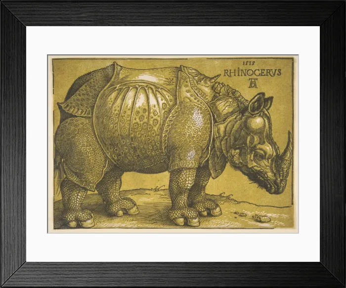 Framed Print : The Rhinoceros, after 1620. Creator: Albrecht Durer Framed Print : The Rhinoceros, after 1620. Creator: Albrecht Durer