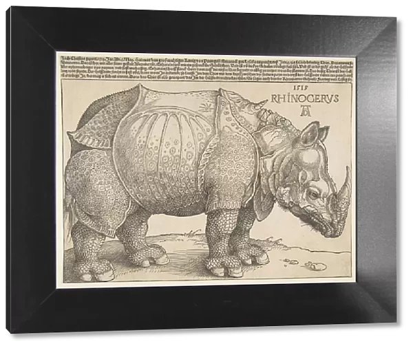 The Rhinoceros. n. d. Creator: Albrecht Durer