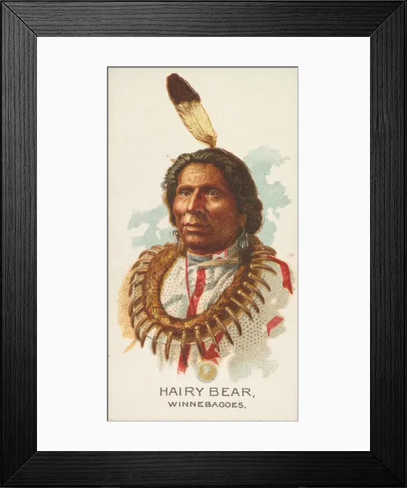 Framed Print : Hairy Bear, Winnebagoes, from the American Indian Chiefs series (N2) for Allen & Framed Print : Hairy Bear, Winnebagoes, from the American Indian Chiefs series (N2) for Allen &