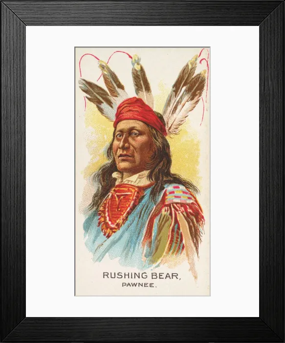 Framed Print : Rushing Bear, Pawnee, from the American Indian Chiefs series (N2) for Allen & Framed Print : Rushing Bear, Pawnee, from the American Indian Chiefs series (N2) for Allen &