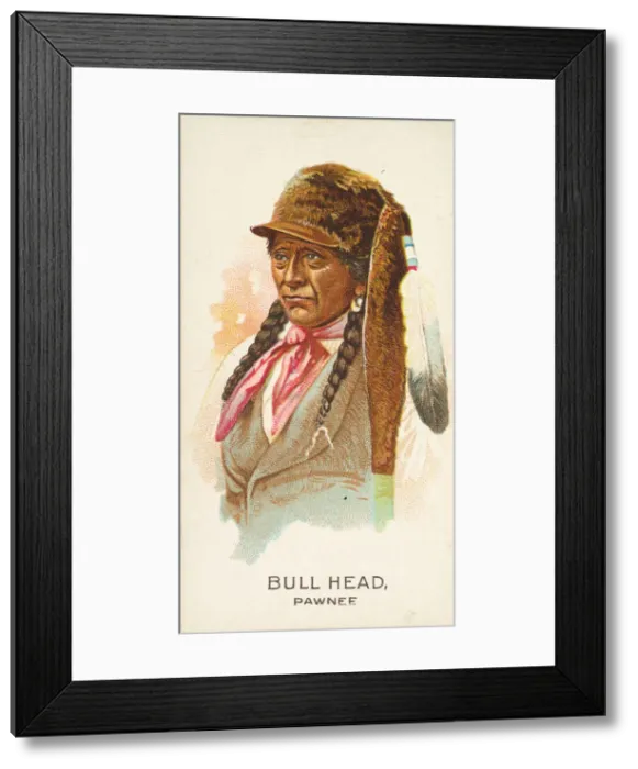 Framed Print : Bull Head, Pawnee, from the American Indian Chiefs series (N2) for Allen & Framed Print : Bull Head, Pawnee, from the American Indian Chiefs series (N2) for Allen &