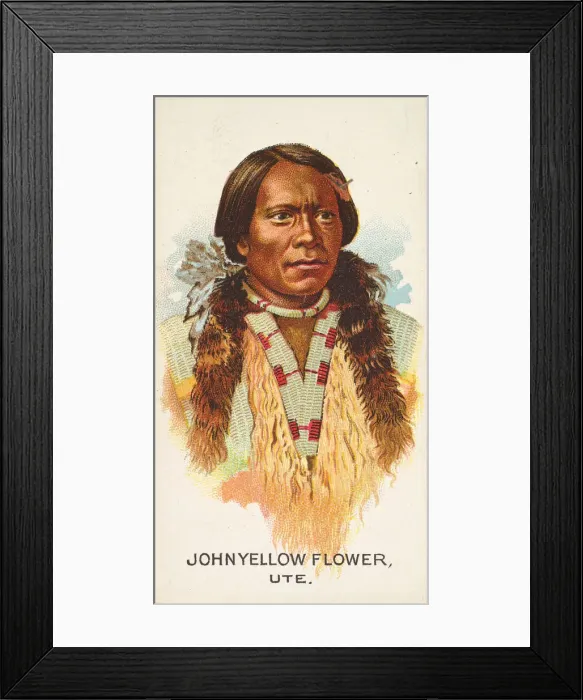 Framed Print : John Yellow Flower, Ute, from the American Indian Chiefs series (N2) for Allen & Framed Print : John Yellow Flower, Ute, from the American Indian Chiefs series (N2) for Allen &