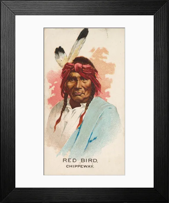 Framed Print : Red Bird, Chippeway, from the American Indian Chiefs series (N2) for Allen & Framed Print : Red Bird, Chippeway, from the American Indian Chiefs series (N2) for Allen &