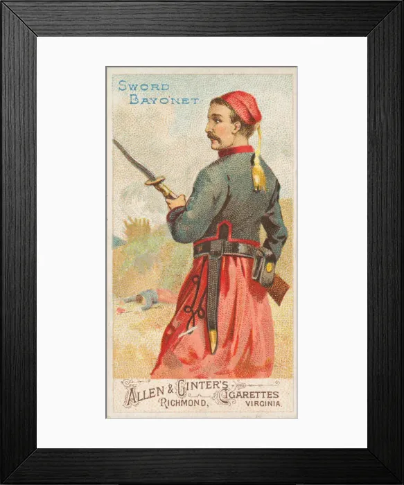 Framed Print : Sword Bayonet, from the Arms of All Nations series (N3) for Allen & Framed Print : Sword Bayonet, from the Arms of All Nations series (N3) for Allen &
