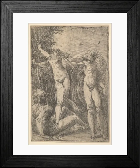 Framed Print : Apollo and Daphne, ca. 1538-40. Creator: Andrea Schiavone Framed Print : Apollo and Daphne, ca. 1538-40. Creator: Andrea Schiavone