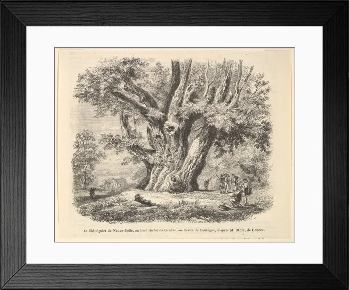 Framed Print : Le Chataignier de Neuve-Celle, au bord du lac de Geneve, after Daubigny Framed Print : Le Chataignier de Neuve-Celle, au bord du lac de Geneve, after Daubigny