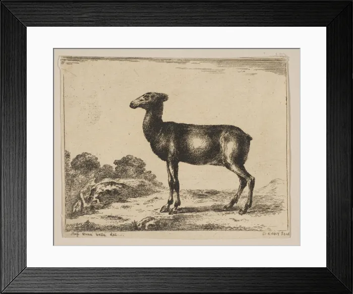 Framed Print : Plate 15: doe, from Various animals (Diversi animali), after 1641. Creator: Unknown Framed Print : Plate 15: doe, from Various animals (Diversi animali), after 1641. Creator: Unknown