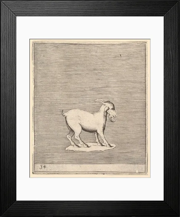 Framed Print : Ram, published ca. 1599-1622. Creator: Unknown Framed Print : Ram, published ca. 1599-1622. Creator: Unknown