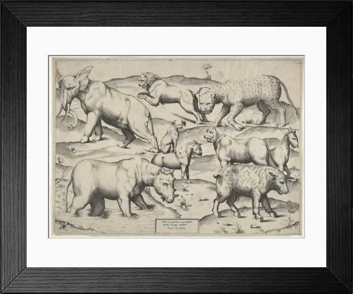 Framed Print : Various Animals. Creator: Unknown Framed Print : Various Animals. Creator: Unknown