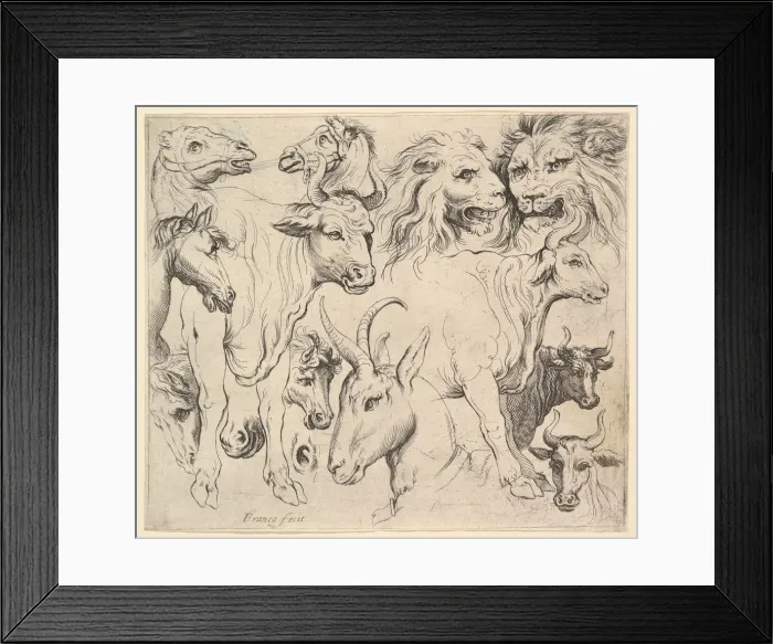 Framed Print : Studies of Heads. Creator: Unknown Framed Print : Studies of Heads. Creator: Unknown
