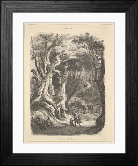 Framed Print : A View in the Forest of Morvan, 1837-66. Creator: Jean-Antoine Watteau Framed Print : A View in the Forest of Morvan, 1837-66. Creator: Jean-Antoine Watteau