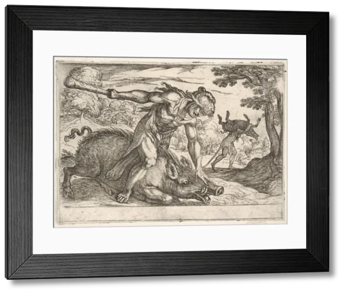 Framed Print : Hercules and the Boar of Erymanthus: Hercules holds down the boars snout with his left Framed Print : Hercules and the Boar of Erymanthus: Hercules holds down the boars snout with his left