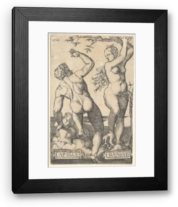 Framed Print : Apollo and Daphne (reverse copy). n. d. Creator: Barthel Beham Framed Print : Apollo and Daphne (reverse copy). n. d. Creator: Barthel Beham
