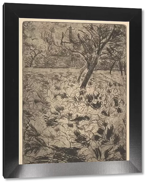 The Cabbage Field, ca. 1880. Creator: Camille Pissarro