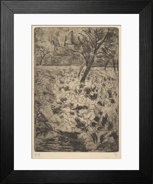 Framed Print : The Cabbage Field, ca. 1880. Creator: Camille Pissarro Framed Print : The Cabbage Field, ca. 1880. Creator: Camille Pissarro
