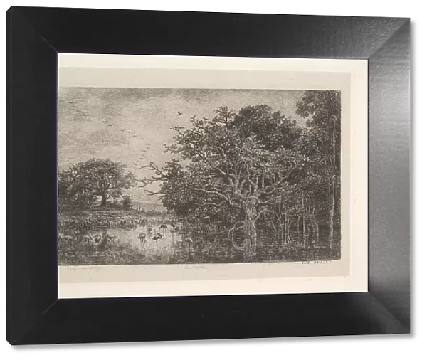 The Marshes, 1851. Creator: Charles Francois Daubigny