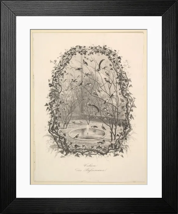 Framed Print : The Sparrow Aviary, 1843. Creator: Charles Francois Daubigny Framed Print : The Sparrow Aviary, 1843. Creator: Charles Francois Daubigny