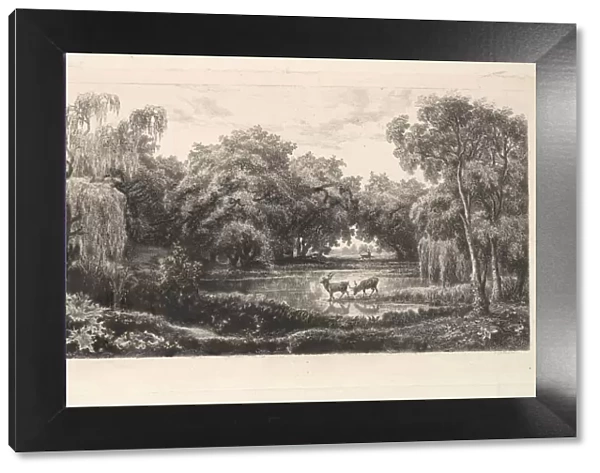 The Deer Pond, 1837-78. Creator: Charles Francois Daubigny