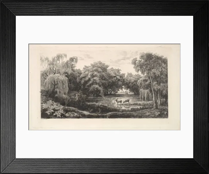 Framed Print : The Deer Pond, 1837-78. Creator: Charles Francois Daubigny Framed Print : The Deer Pond, 1837-78. Creator: Charles Francois Daubigny