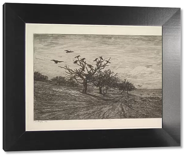 Tree Filled with Crows, 1867. Creator: Charles Francois Daubigny