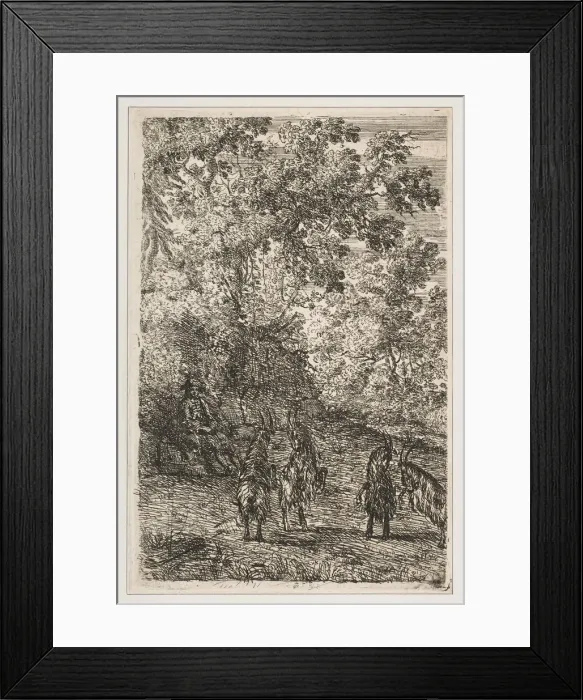 Framed Print : Four Goats (Left Section of The Goats), ca. 1630-33. Creator: Claude Lorrain Framed Print : Four Goats (Left Section of The Goats), ca. 1630-33. Creator: Claude Lorrain