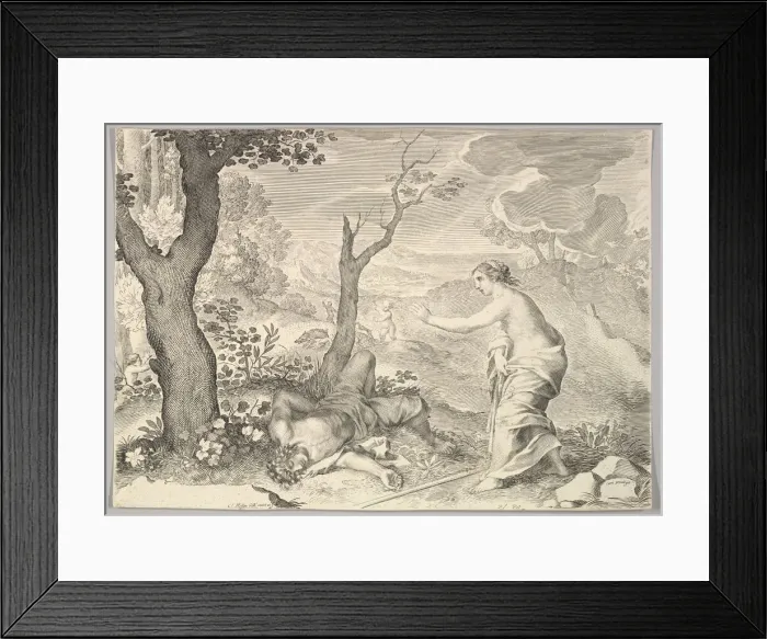 Framed Print : Death of Adonis. Creator: Claude Mellan Framed Print : Death of Adonis. Creator: Claude Mellan