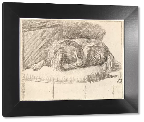 Sleeping Dog, 1777. Creator: Cornelis Ploos van Amstel