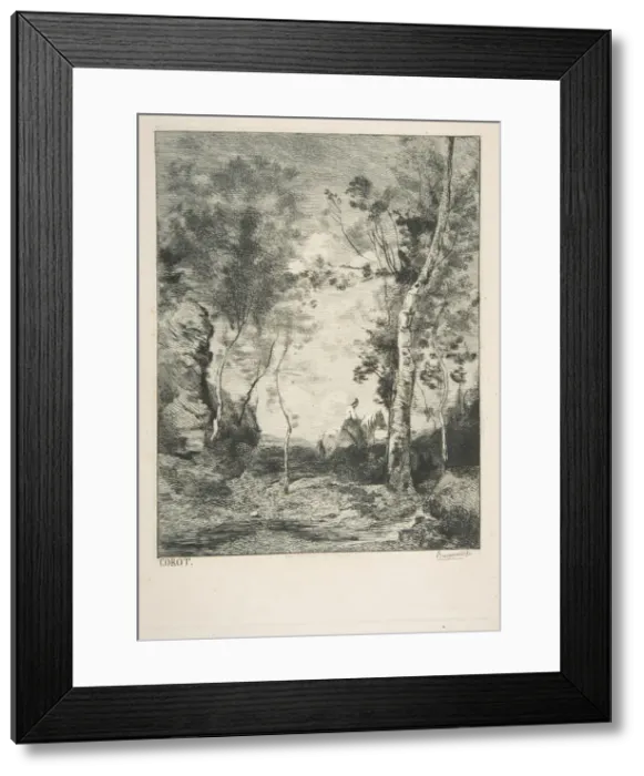 Framed Print : Le cheval blanc, 1858?. Creator: Felix Bracquemond Framed Print : Le cheval blanc, 1858?. Creator: Felix Bracquemond