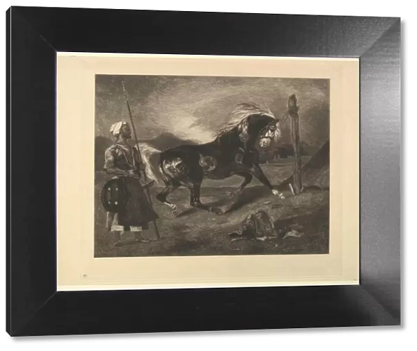 Cheval arabe au piquet, d apres Delacroix, 1857. Creator: Felix Bracquemond