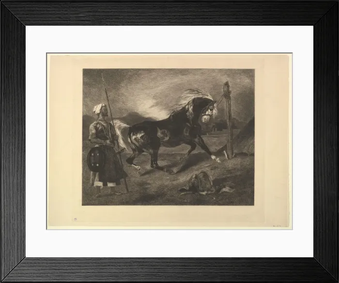Framed Print : Cheval arabe au piquet, d apres Delacroix, 1857. Creator: Felix Bracquemond Framed Print : Cheval arabe au piquet, d apres Delacroix, 1857. Creator: Felix Bracquemond