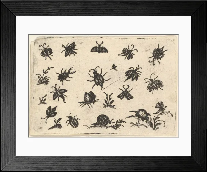 Framed Print : Small Motifs of Insects and Plants, 1596. Creator: Georg Herman