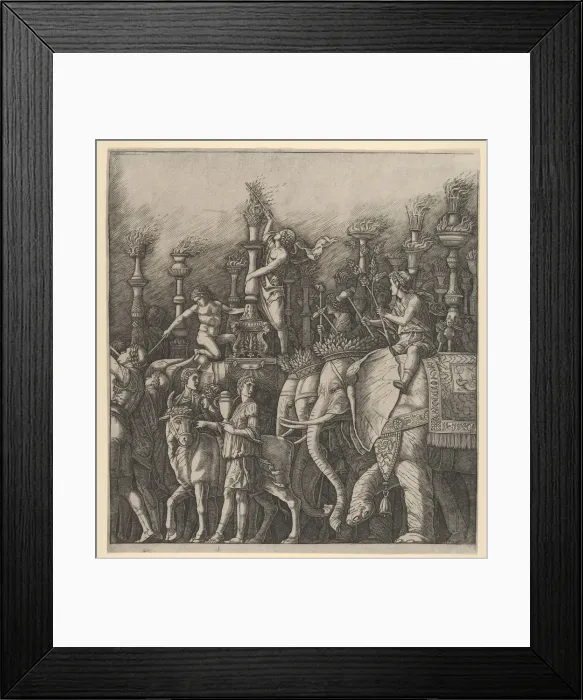 Framed Print : The Triumph of Caesar: the Elephants, 1470-1525. Creator Framed Print : The Triumph of Caesar: the Elephants, 1470-1525. Creator