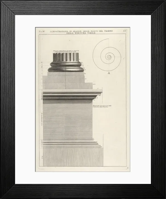 Framed Print : Section of column base from the Temple of Fortuna Virilis (Tempio della Fortuna Virile) Framed Print : Section of column base from the Temple of Fortuna Virilis (Tempio della Fortuna Virile)