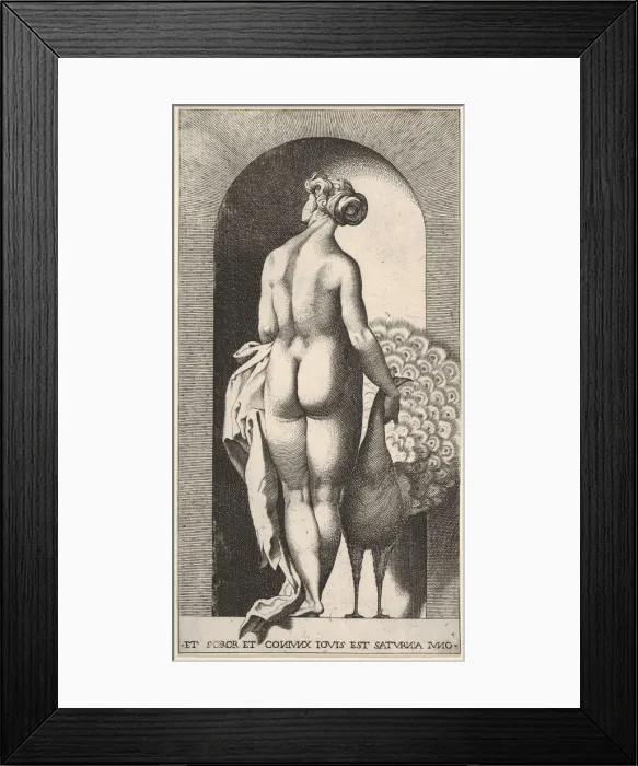 Framed Print : Plate 4: Juno standing in a niche, viewed from behind, stroking a peacock to her right