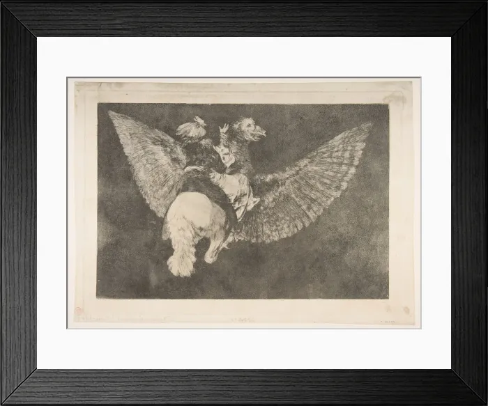 Framed Print : Plate 5 from the Disparates : Flying Folly, ca. 1816-23 (private printing ca. 1854) Framed Print : Plate 5 from the Disparates : Flying Folly, ca. 1816-23 (private printing ca. 1854)