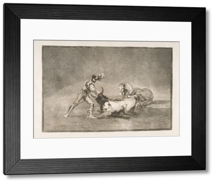 Framed Print : Plate 9 of the Tauromaquia : A Spanish knight kills the bull after having lost his horse Framed Print : Plate 9 of the Tauromaquia : A Spanish knight kills the bull after having lost his horse