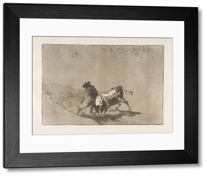 Framed Print : Plate 14 from the Tauromaquia : The very skillful student of Falces, wrapped in his cape Framed Print : Plate 14 from the Tauromaquia : The very skillful student of Falces, wrapped in his cape