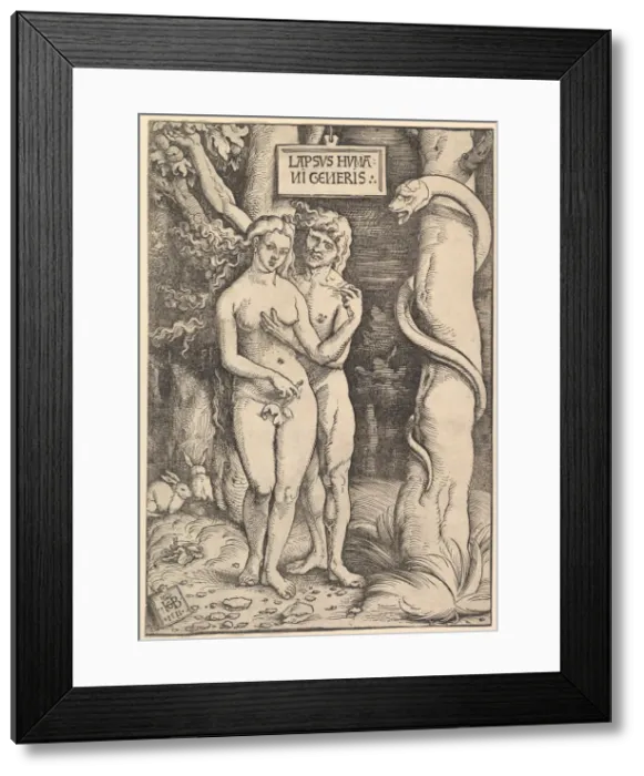 Framed Print : Adam and Eve, 1511. Creator: Hans Baldung Framed Print : Adam and Eve, 1511. Creator: Hans Baldung
