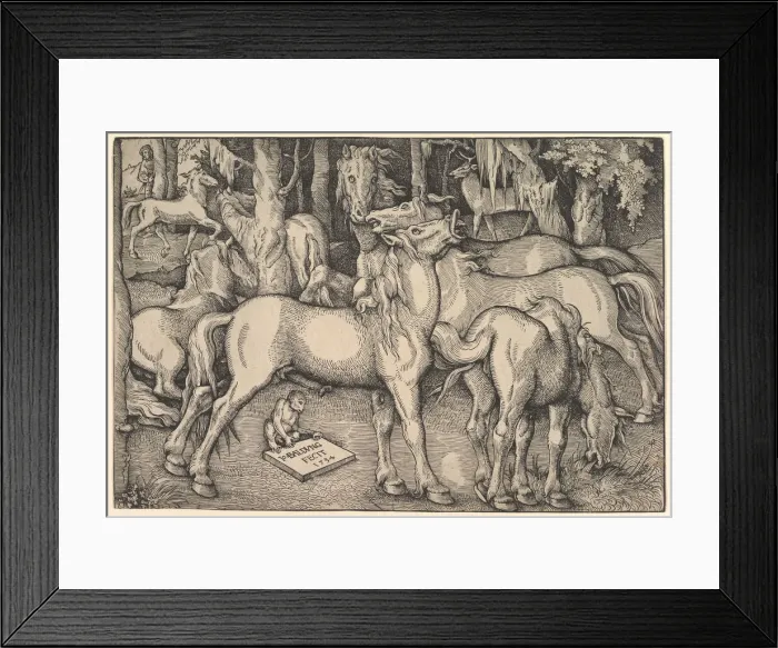 Framed Print : Group of Seven Horses, 1534. Creator: Hans Baldung Framed Print : Group of Seven Horses, 1534. Creator: Hans Baldung