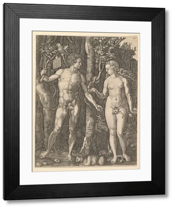 Framed Print : Adam and Eve, 1566. Creator: Jan Wierix Framed Print : Adam and Eve, 1566. Creator: Jan Wierix