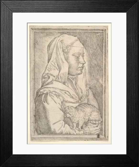 Framed Print : Girl with a Cat, 1546. Creator: Jan Cornelisz Vermeyen Framed Print : Girl with a Cat, 1546. Creator: Jan Cornelisz Vermeyen
