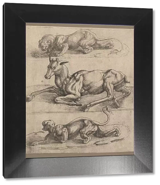 A Doe and Two Lionesses, ca. 1540. Creator: Attributed to Jan Cornelisz Vermeyen