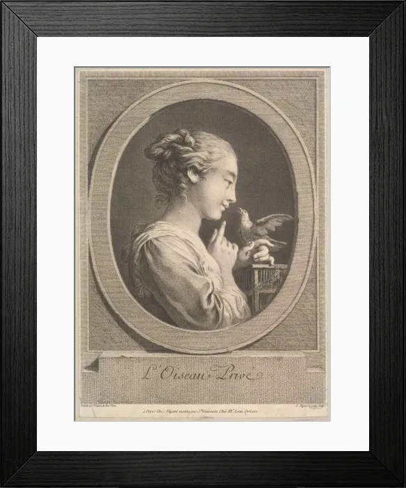 Framed Print : The Tamed Bird, ca. 1769. Creator: Jean Jacques Flipart Framed Print : The Tamed Bird, ca. 1769. Creator: Jean Jacques Flipart