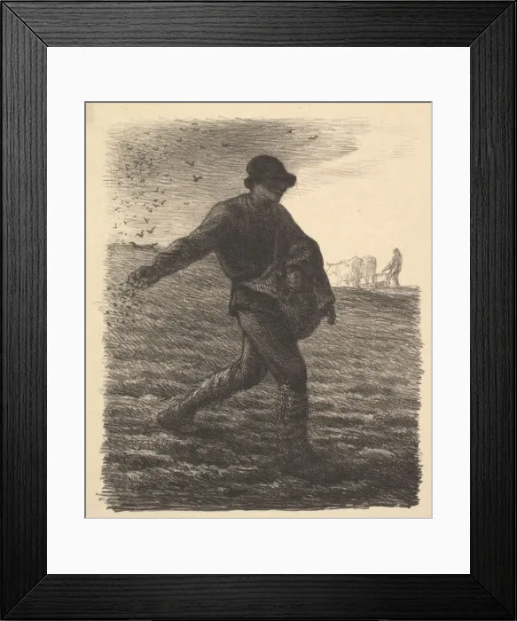 Framed Print : The Sower, 1851. Creator: Jean Francois Millet Framed Print : The Sower, 1851. Creator: Jean Francois Millet
